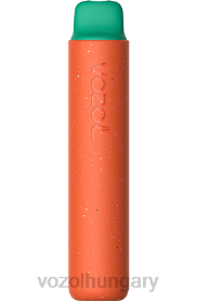 VOZOL STAR 2000 - VOZOL Hungary H442R163 málnás görögdinnye