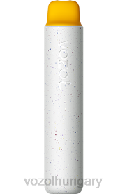 VOZOL STAR 2000 - VOZOL Vape Flavours H442R160 barack jég