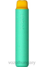 VOZOL STAR 2000 - VOZOL Vape Magyarország H442R155 Gumimaci