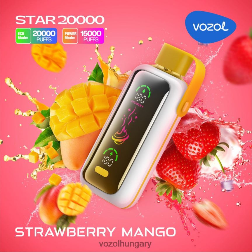 VOZOL Hungary - VOZOL STAR 20000 H88D421 epres mangó