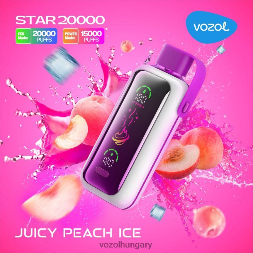 VOZOL Vape Flavours - VOZOL STAR 20000 H88D4210 lédús barack jég