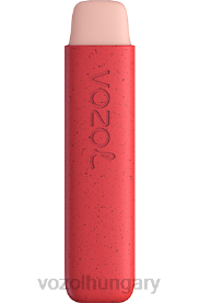 VOZOL STAR 550 - VOZOL Vape Magyarország H442R145 eperfagylalt