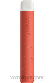 VOZOL STAR 600 - VOZOL Budapest H442R97 tigrisvér