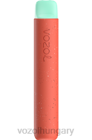 VOZOL STAR 600 - VOZOL Hungary H442R93 eper alma