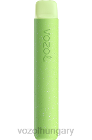 VOZOL STAR 600 - VOZOL Vape Flavours H442R100 görögdinnye rágógumi