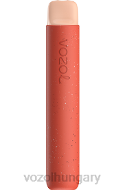 VOZOL STAR 600 - VOZOL Vape Magyarország H442R95 eperfagylalt