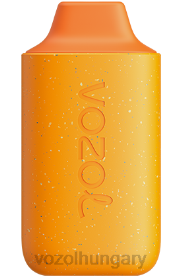 VOZOL STAR 6000 - VOZOL Magyarország H442R124 sütőtök tejeskávé