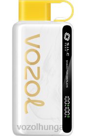 VOZOL STAR 9000/12000 - VOZOL Bar Magyarország H442R46 ananász kókusz jég