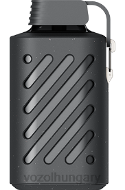 VOZOL GEAR 10000 - VOZOL Bar Magyarország H442R286 cédrusbogyók