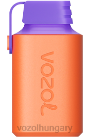 VOZOL GEAR 600 - VOZOL Hungary H442R353 licsi guava görögdinnye