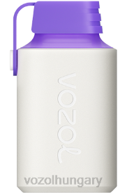 VOZOL GEAR 600 - VOZOL Vape Flavours H442R350 erdei bogyó energia