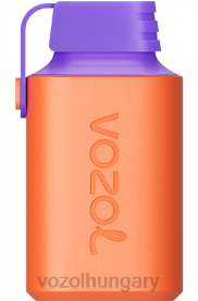 VOZOL GEAR 600 - VOZOL Vape Flavours H442R360 szederjég