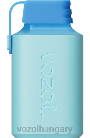 VOZOL GEAR 600 - VOZOL Vape Rendelés H442R361 áfonyás jég