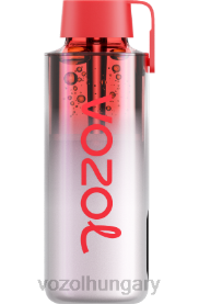 VOZOL NEON 10000 - VOZOL Magyarország H442R244 cseresznye jég