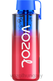 VOZOL NEON 10000 - VOZOL Vape Price H442R239 epres görögdinnye