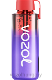 VOZOL NEON 10000 - VOZOL Vape Rendelés H442R231 kék razz jég