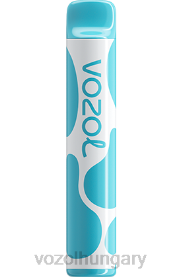 VOZOL JOYGO 600 - VOZOL Budapest H442R377 áfonyás savanyú málna