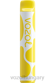 VOZOL JOYGO 600 - VOZOL Hungary H442R393 vaníliás krémdohány