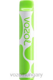 VOZOL JOYGO 600 - VOZOL Vape Flavours H442R380 dupla alma