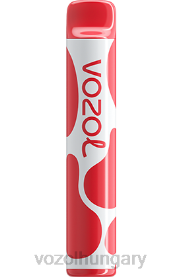 VOZOL JOYGO 600 - VOZOL Vape Magyarország H442R385 licsi guava görögdinnye